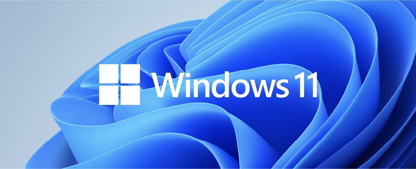 win11